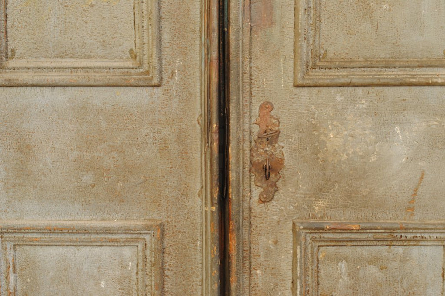 Pair of Painted Doors