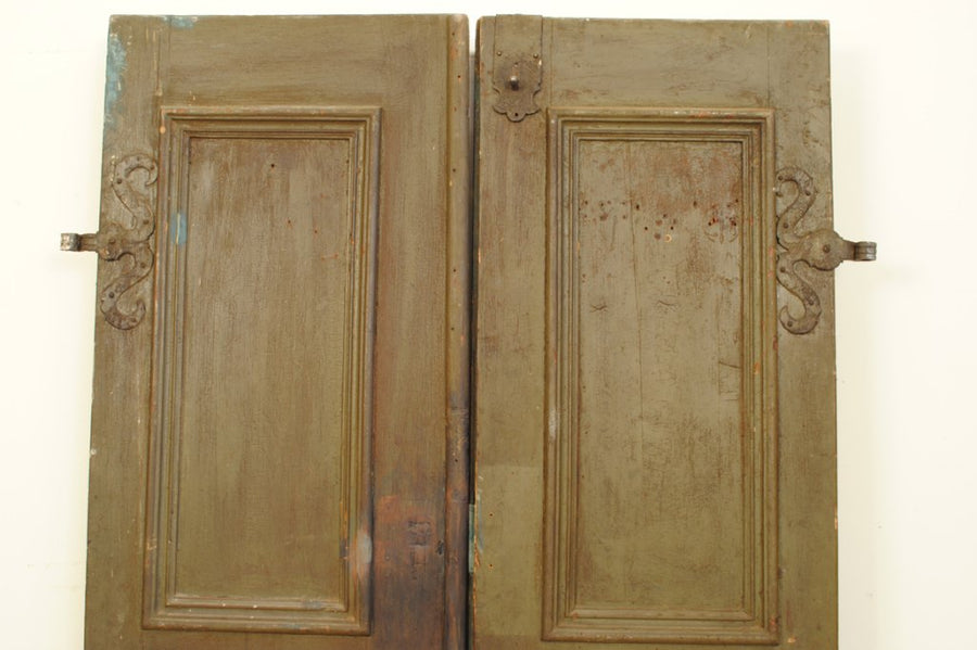 Pair of Painted Doors