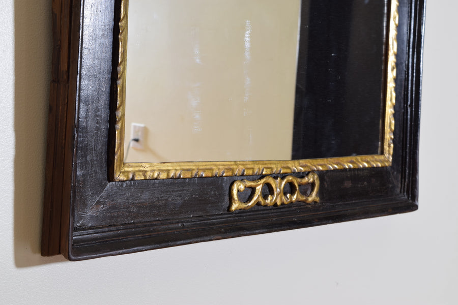 Carved Giltwood and Ebonized Mirror