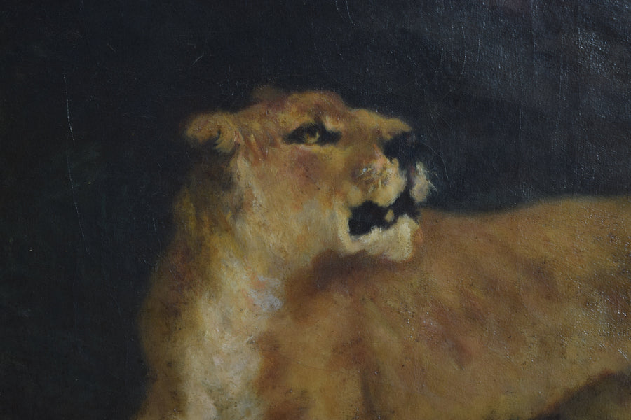 Oil on Canvas, Lioness and Lion