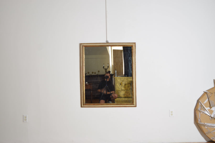 Shaped Walnut Giltwood and Painted Mirror