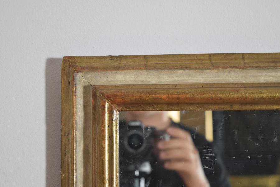 Shaped Walnut Giltwood and Painted Mirror