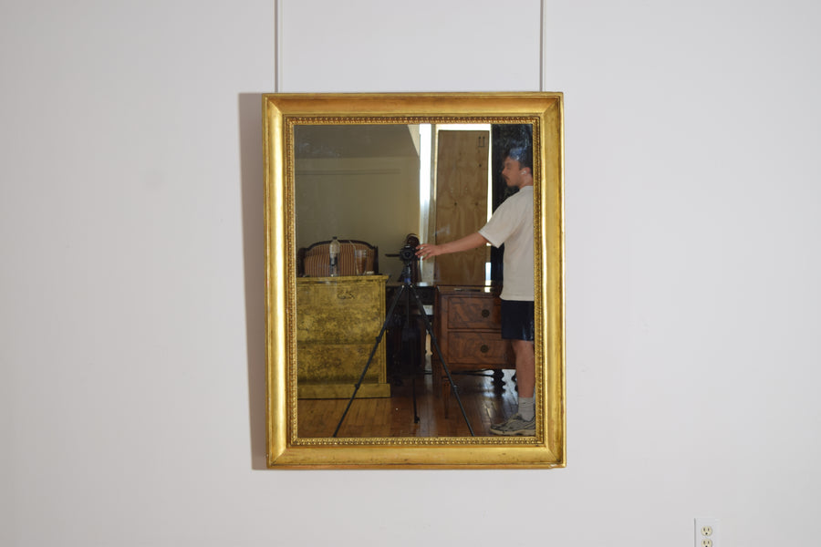 Carved Giltwood and Gilt Gesso Mirror