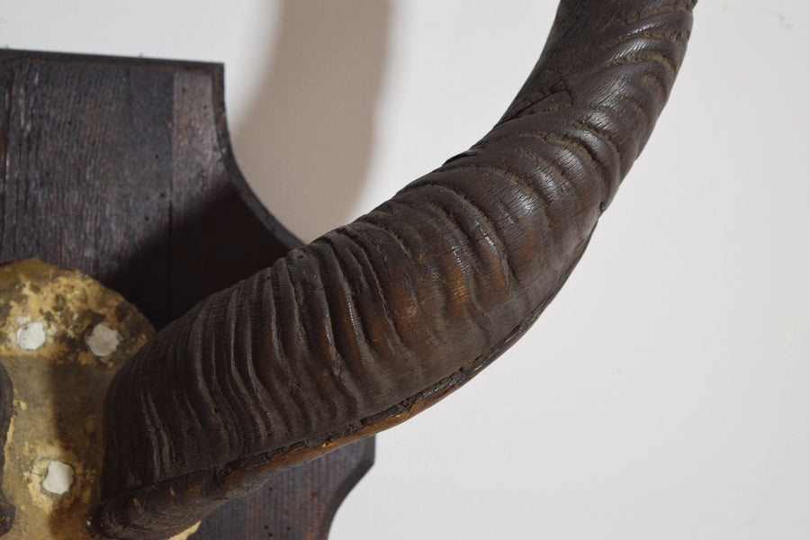 Grand Kudu Mount on Pinewood Backplate