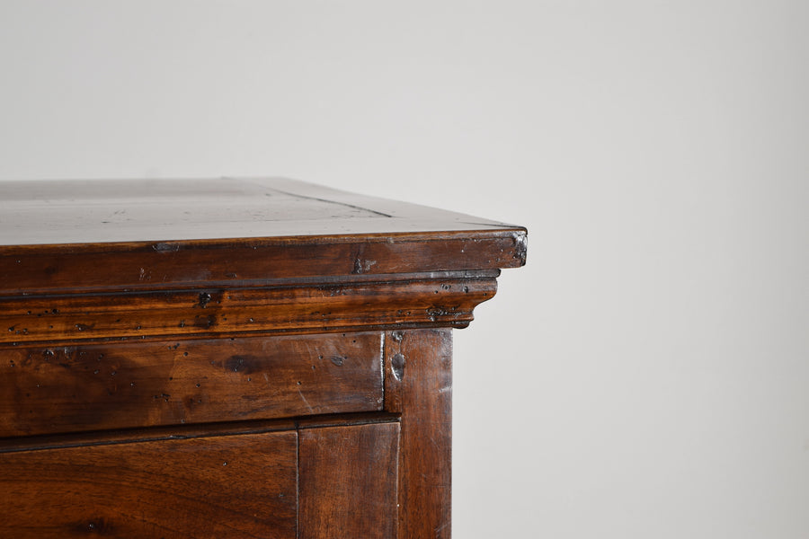 Tall Carved Walnut 2-Door Cabinet