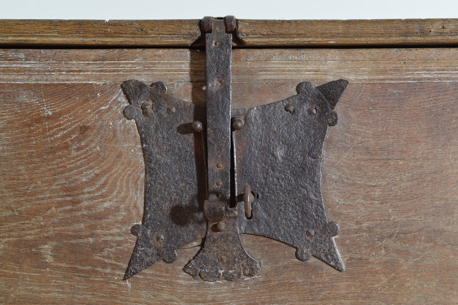 Carved Oak Cassone with Iron Hardware