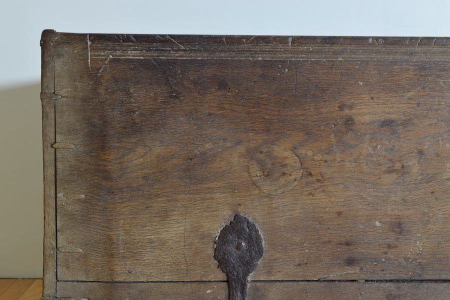 Carved Oak Cassone with Iron Hardware