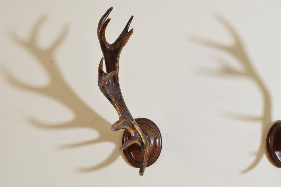 Pair of Antler Mounts on Shaped Backplates