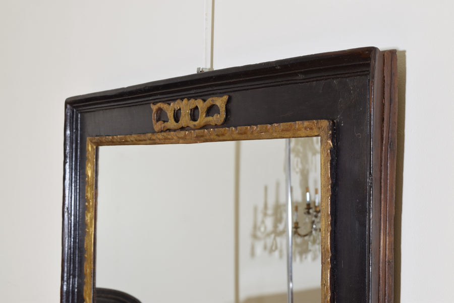 Carved Giltwood and Ebonized Mirror