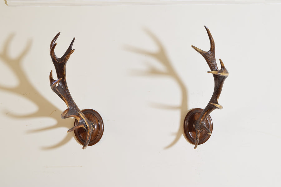 Pair of Antler Mounts on Shaped Backplates