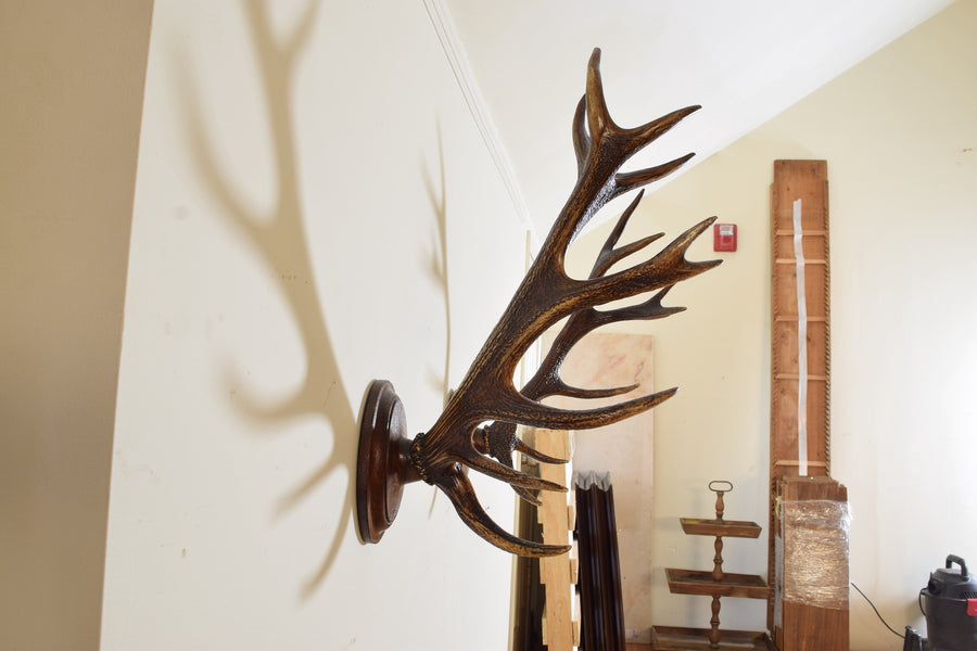 Pair of Antler Mounts on Shaped Backplates